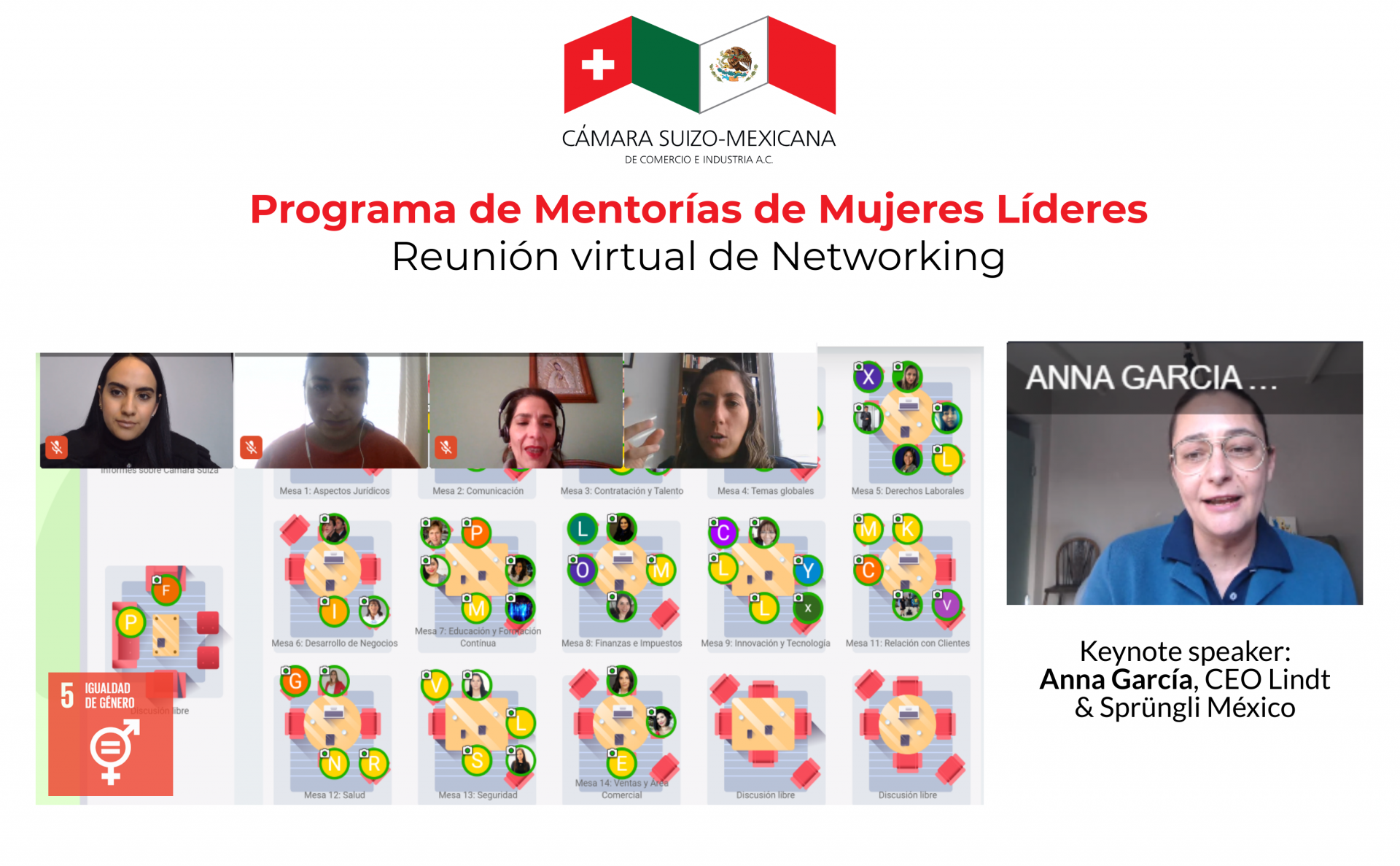 Virtual networking session – mentorship program for women