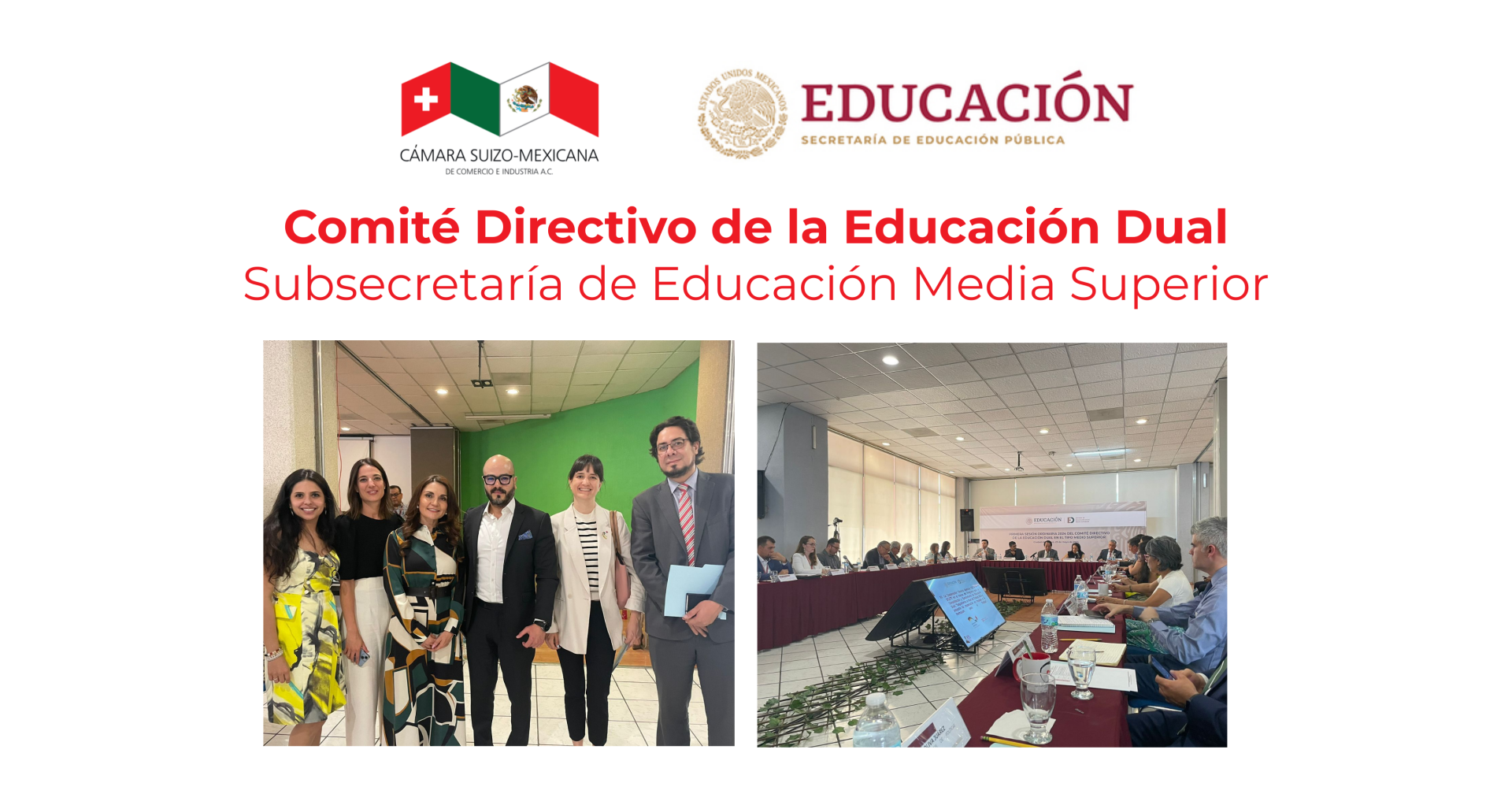 Comité Directivo de la Educación Dual Media Superior